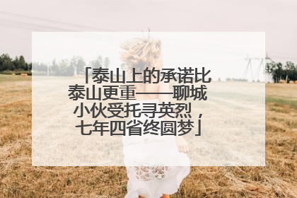 泰山上的承诺比泰山更重——聊城小伙受托寻英烈，七年四省终圆梦