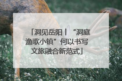洞见岳阳丨“洞庭渔歌小镇”何以书写文旅融合新范式