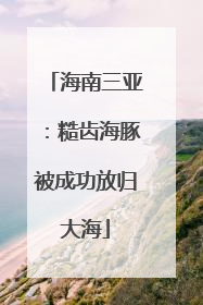 海南三亚：糙齿海豚被成功放归大海