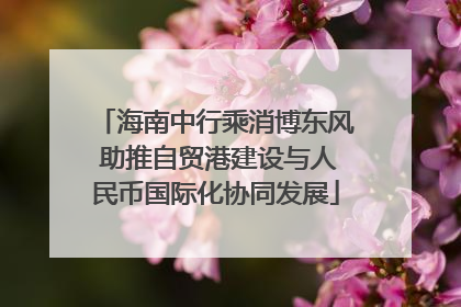 海南中行乘消博东风 助推自贸港建设与人民币国际化协同发展