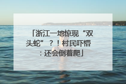 浙江一地惊现“双头蛇”？！村民吓懵：还会倒着爬