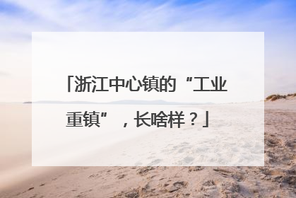 浙江中心镇的“工业重镇”，长啥样？
