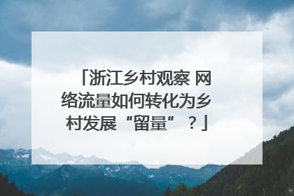 浙江乡村观察 网络流量如何转化为乡村发展“留量”？
