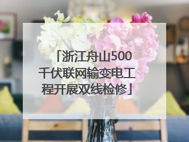 浙江舟山500千伏联网输变电工程开展双线检修