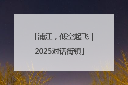 浦江，低空起飞｜2025对话街镇