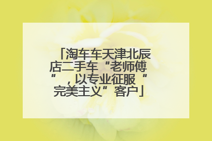 淘车车天津北辰店二手车“老师傅”，以专业征服“完美主义”客户