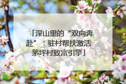 深山里的“双向奔赴”：驻村帮扶激活茅坪村致富引擎