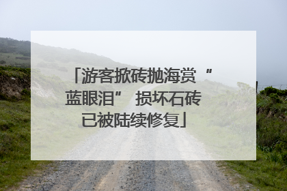游客掀砖抛海赏“蓝眼泪” 损坏石砖已被陆续修复