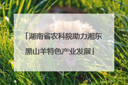 湖南省农科院助力湘东黑山羊特色产业发展