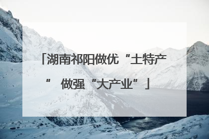 湖南祁阳做优“土特产” 做强“大产业”