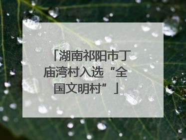 湖南祁阳市丁庙湾村入选“全国文明村”