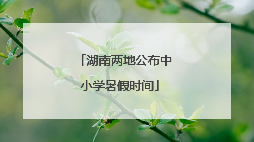 湖南两地公布中小学暑假时间