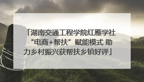 湖南交通工程学院红雁学社“电商+帮扶”赋能模式 助力乡村振兴获帮扶乡镇好评