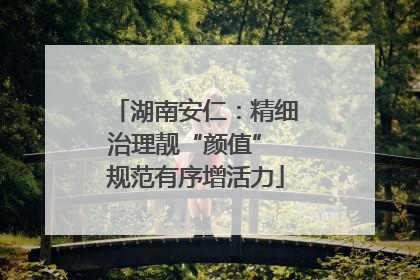 湖南安仁：精细治理靓“颜值” 规范有序增活力
