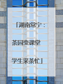 湖南常宁：茶园变课堂 学生采茶忙