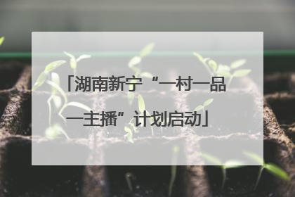 湖南新宁“一村一品一主播”计划启动