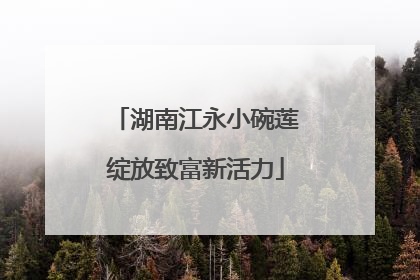 湖南江永小碗莲绽放致富新活力