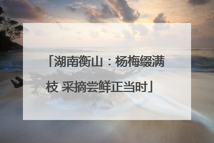 湖南衡山：杨梅缀满枝 采摘尝鲜正当时