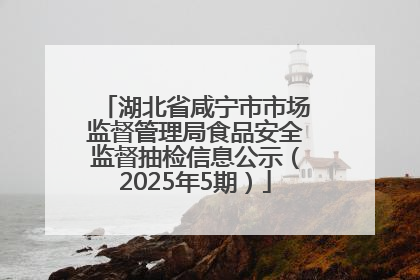 湖北省咸宁市市场监督管理局食品安全监督抽检信息公示（2025年5期）