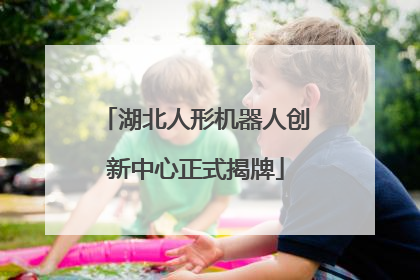 湖北人形机器人创新中心正式揭牌