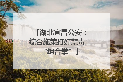 湖北宜昌公安：综合施策打好禁毒“组合拳”