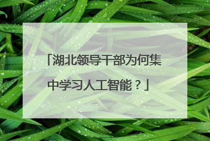 湖北领导干部为何集中学习人工智能？