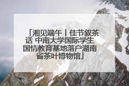湘见端午丨佳节叙茶话 中南大学国际学生国情教育基地落户湖南省茶叶博物馆