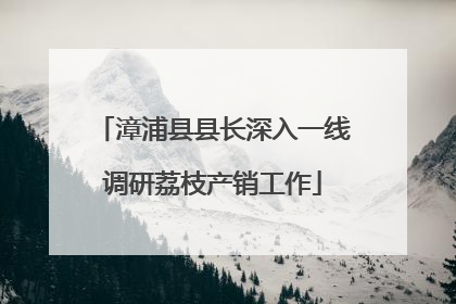 漳浦县县长深入一线调研荔枝产销工作