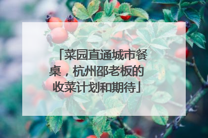 菜园直通城市餐桌，杭州邵老板的收菜计划和期待