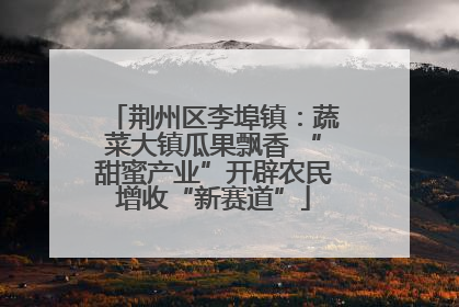 荆州区李埠镇：蔬菜大镇瓜果飘香 “甜蜜产业”开辟农民增收“新赛道”