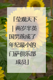 莹观天下｜两岁半英国男孩成了年纪最小的门萨俱乐部成员