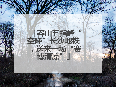 莽山五指峰“空降”长沙地铁，送来一场“赛博清凉”