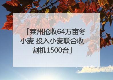 莱州抢收64万亩冬小麦 投入小麦联合收割机1500台