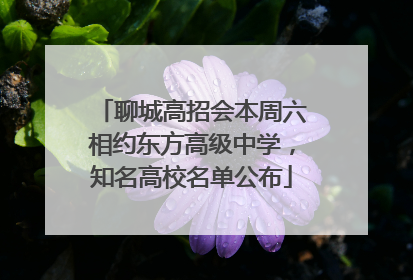 聊城高招会本周六相约东方高级中学，知名高校名单公布