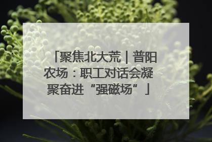 聚焦北大荒｜普阳农场：职工对话会凝聚奋进“强磁场”