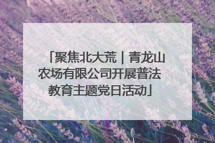 聚焦北大荒｜青龙山农场有限公司开展普法教育主题党日活动