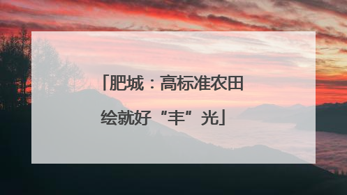 肥城：高标准农田绘就好“丰”光