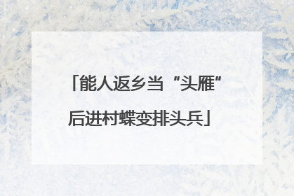 能人返乡当“头雁” 后进村蝶变排头兵