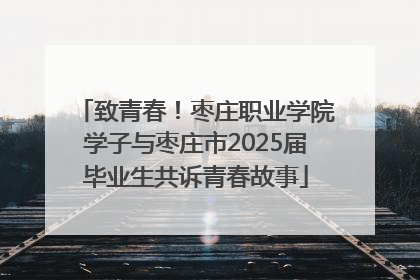 致青春！枣庄职业学院学子与枣庄市2025届毕业生共诉青春故事