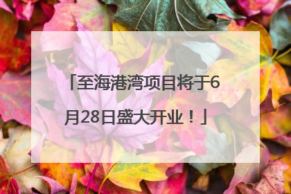 至海港湾项目将于6月28日盛大开业！