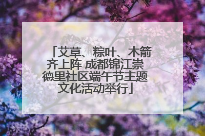 艾草、粽叶、木箭齐上阵 成都锦江崇德里社区端午节主题文化活动举行