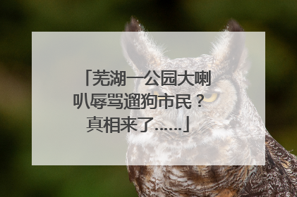 芜湖一公园大喇叭辱骂遛狗市民？真相来了……