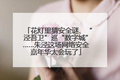 花灯里猜安全谜、“泾吾卫”巡“数字城”……朱泾这场网络安全嘉年华太会玩了