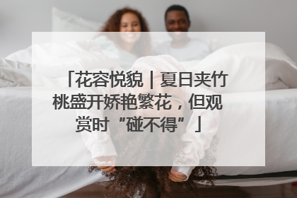 花容悦貌｜夏日夹竹桃盛开娇艳繁花，但观赏时“碰不得”