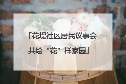 花堤社区居民议事会共绘“花”样家园