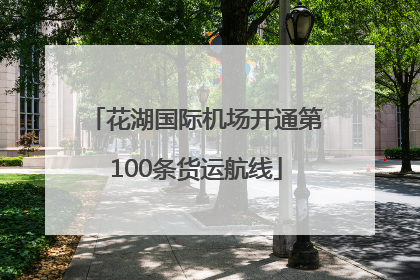 花湖国际机场开通第100条货运航线
