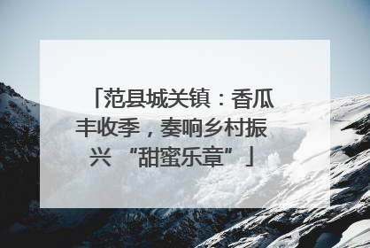 范县城关镇：香瓜丰收季，奏响乡村振兴 “甜蜜乐章”