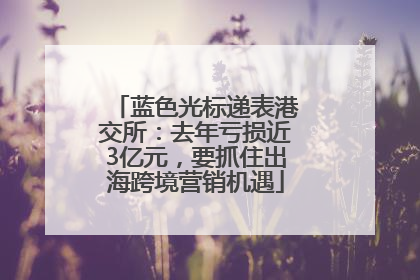蓝色光标递表港交所：去年亏损近3亿元，要抓住出海跨境营销机遇