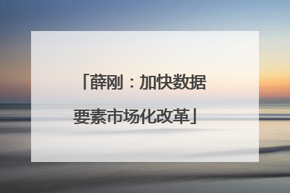 薛刚：加快数据要素市场化改革