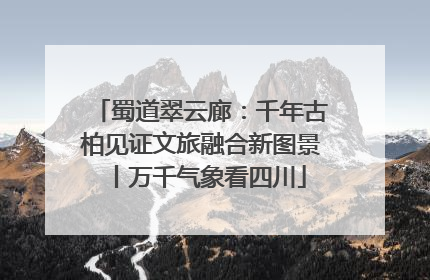 蜀道翠云廊：千年古柏见证文旅融合新图景丨万千气象看四川